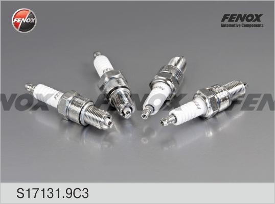 СВЕЧИ ЗАЖИГАНИЯ КОМПЛЕКТ V образ. зазор 0,7мм S17131.9C3 FENOX