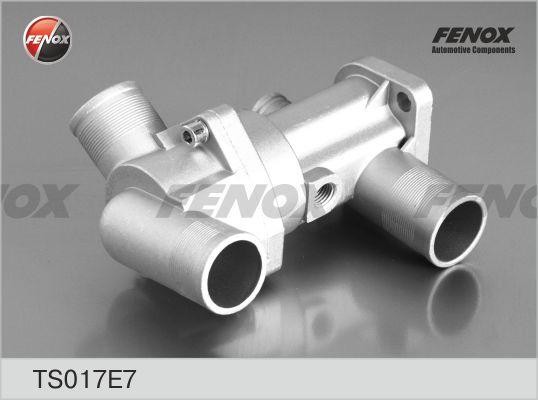 ТЕРМОСТАТ  TS017E7 FENOX
