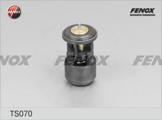 ТЕРМОСТАТ 87°С TS070 FENOX