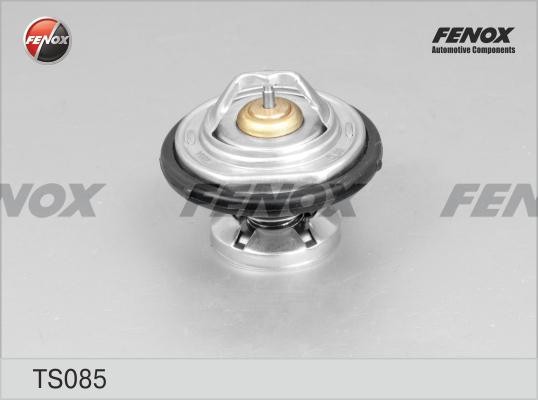 ТЕРМОСТАТ 85°С TS085 FENOX