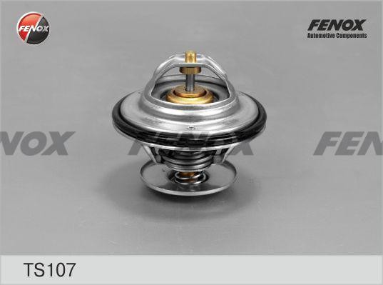 ТЕРМОСТАТ 87°С TS107 FENOX