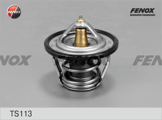 ТЕРМОСТАТ 78°С TS113 FENOX