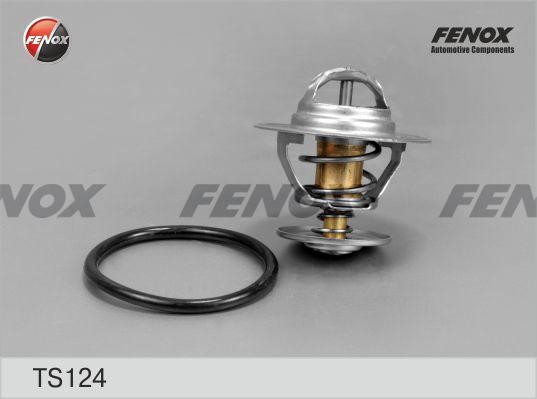 ТЕРМОСТАТ 80°С TS124 FENOX