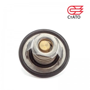 Термостат 7700872554 STA TO