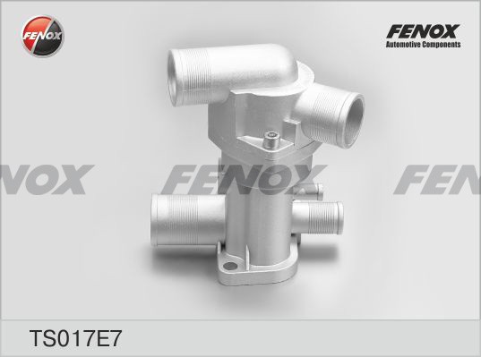 ТЕРМОСТАТ  TS017E7 FENOX