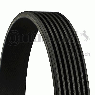 Ремень приводной 7PK1145 CONTITECH
