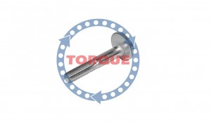 Болт регулировочный схода - развала CP024 TORQUE