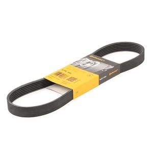 Ремень приводной 6-PK-800 CONTITECH