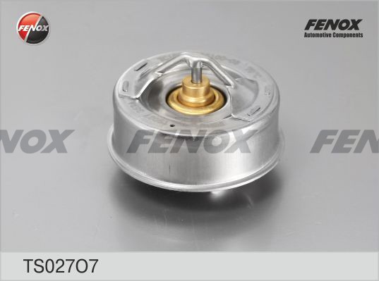 ТЕРМОСТАТ 70°С TS027O7 FENOX