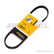 Ремень приводной 4-PK-648 CONTITECH