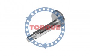 Болт регулировочный схода - развала CP004 TORQUE