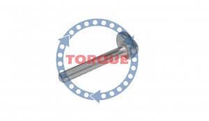 Болт регулировочный схода - развала CP011 TORQUE