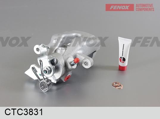 СУППОРТ ЗАДНИЙ ЛЕВЫЙ CTC3831 FENOX