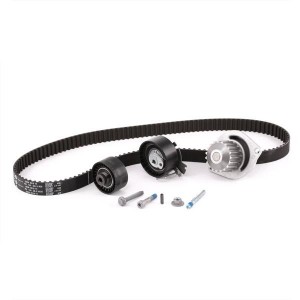 Ремень ГРМ - газораспределительного механизма (комплект) 530 0379 30 INA