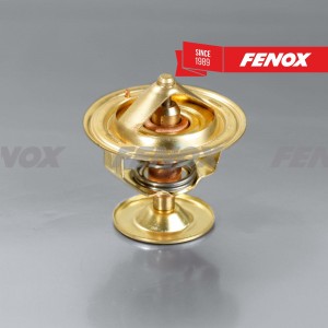 ТЕРМОСТАТ 80°С TS025O7 FENOX