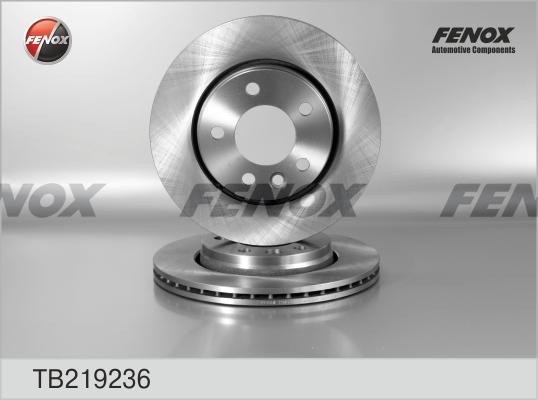 ДИСК ТОРМОЗНОЙ ЗАДНИЙ TB219236 FENOX