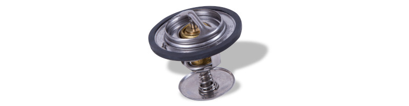 Термостаты